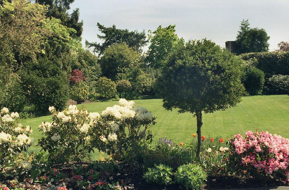 ויקטוריה Fairholme Manor Inn מראה חיצוני תמונה